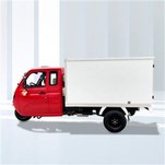 Express Food Delivery Cargo þríhjól