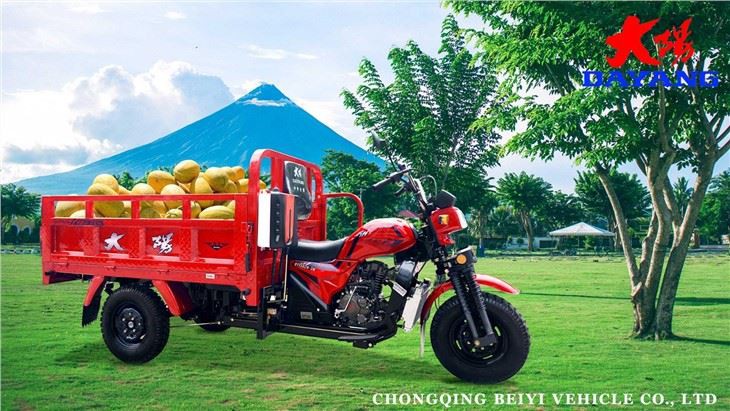 Three Wheel Pedal Cargo Motorcycle 2021