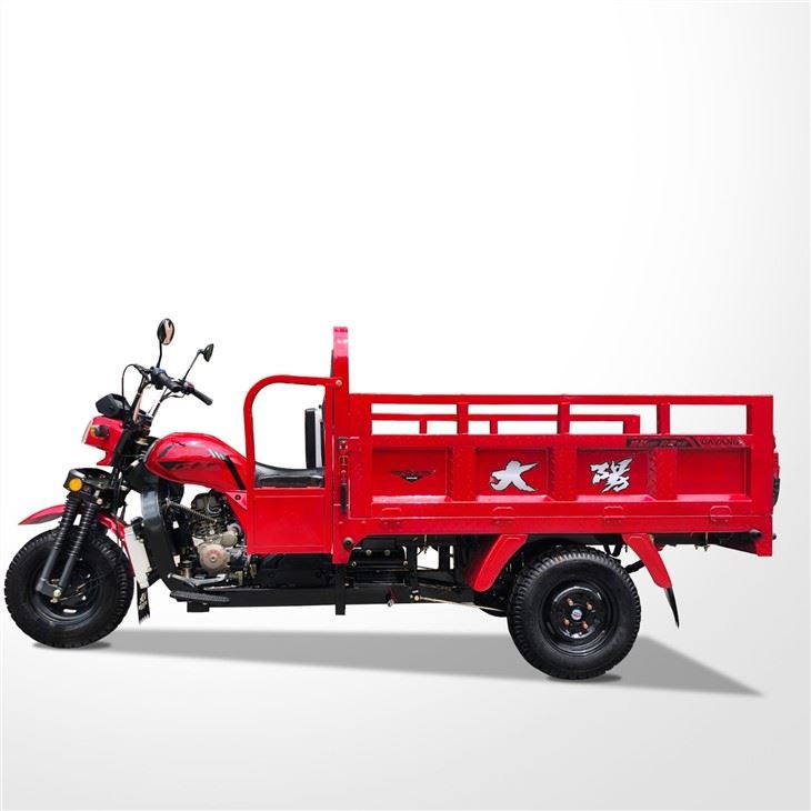 Three Wheel Pedal Cargo Motorcycle OEM