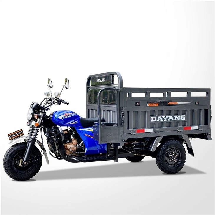Heavy Loader Tricycle
