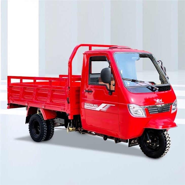 300cc Three Wheeler Motor Dump