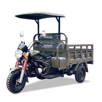 Þriggja Hjól Farmur Moto