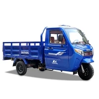 250cc Þríhjól Cargo Motor Trike